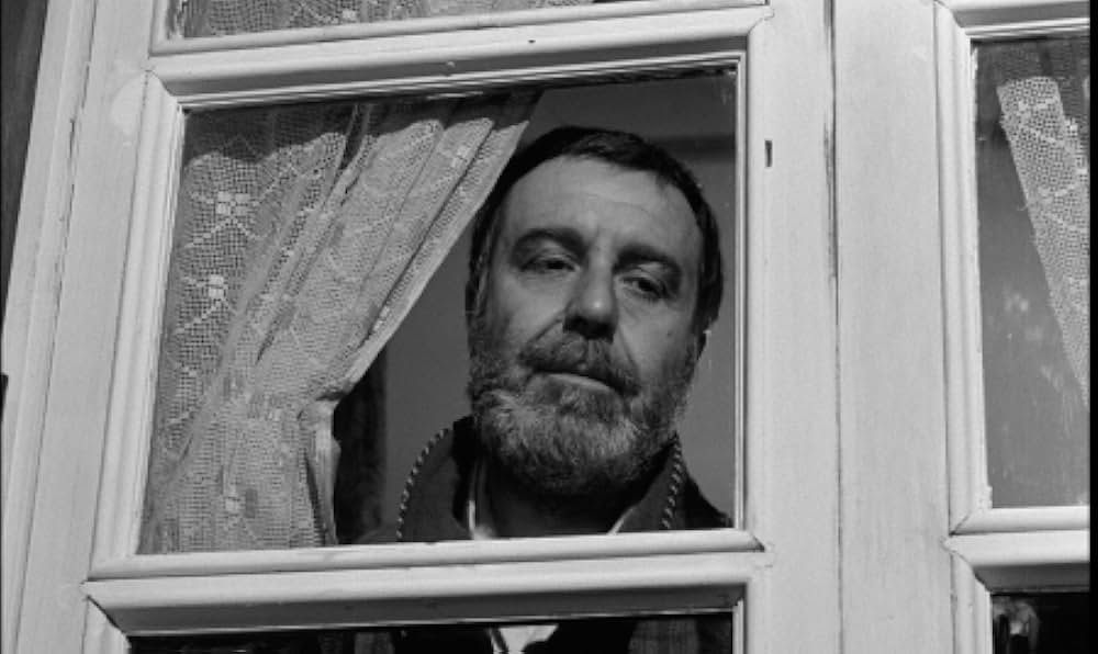 ビリディアナの画像