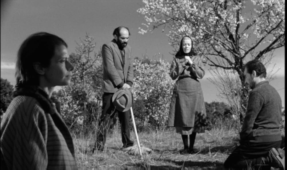 ビリディアナの画像