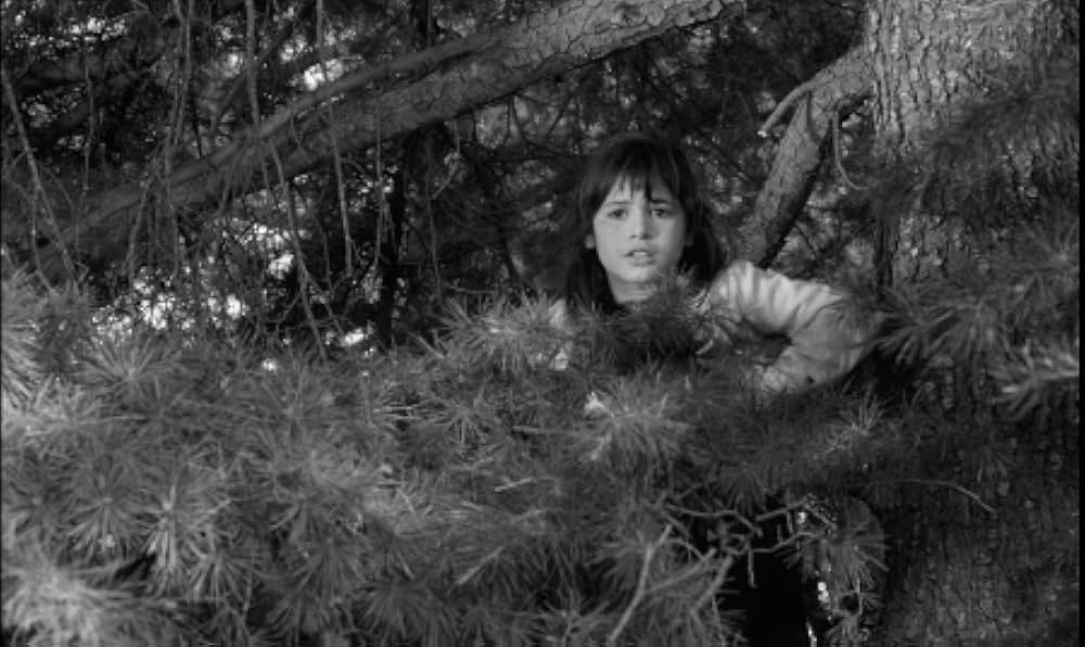 ビリディアナの画像