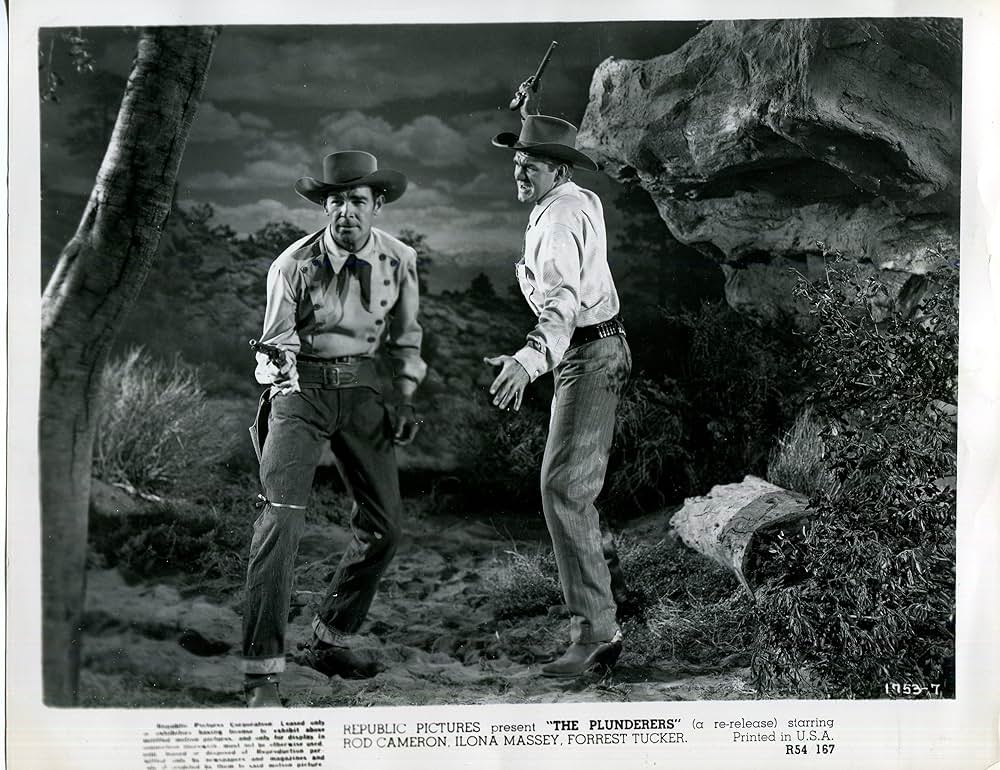 西部の掠奪者の画像