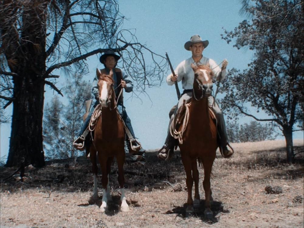 西部の掠奪者の画像