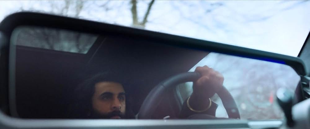 Animal（原題）の画像