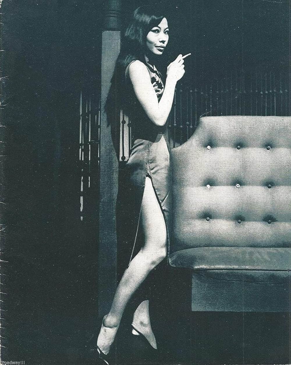 「スージー・ウォンの世界」の画像