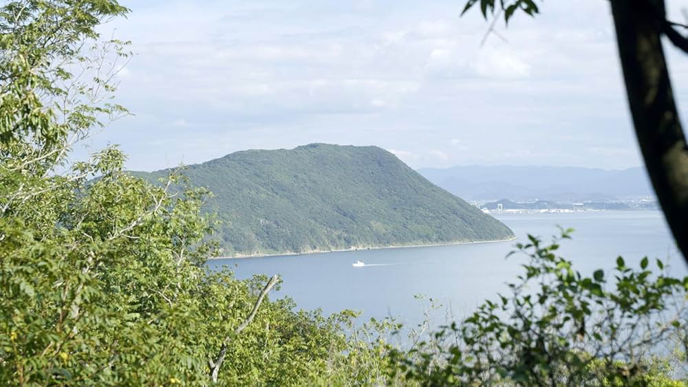 さなぎの猫の画像