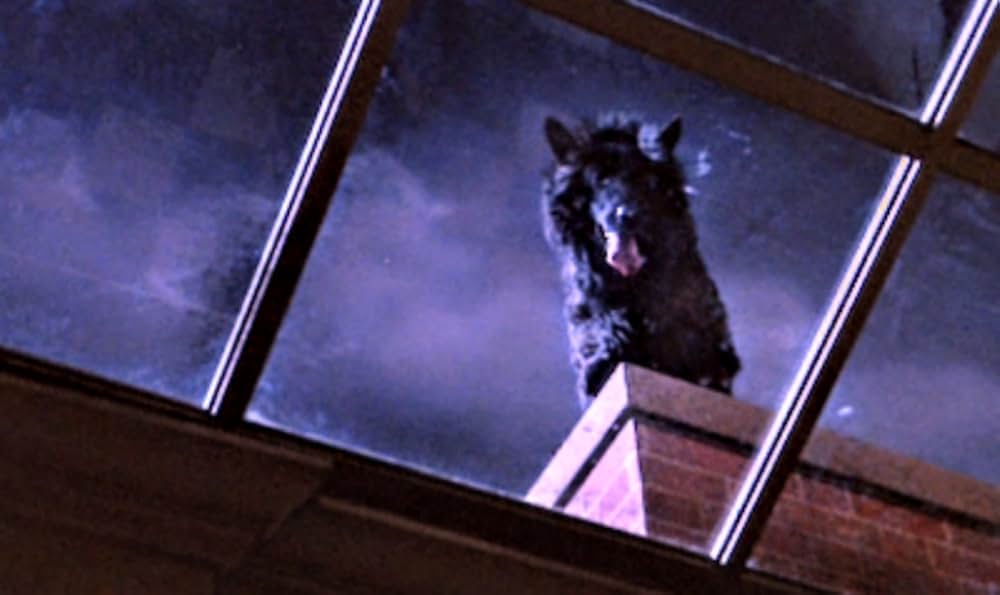 スリラー・ゲーム／人狼伝説の画像