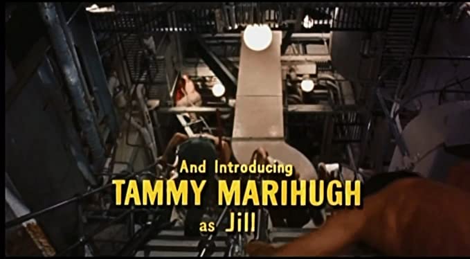 最後の航海の画像