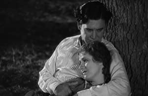 シマロンの画像