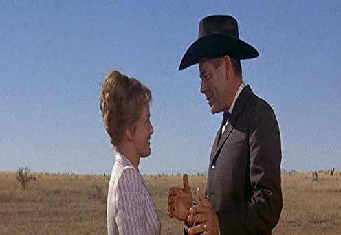 シマロンの画像