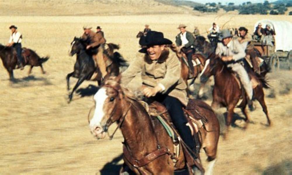 シマロンの画像