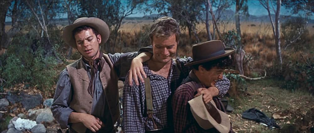 シマロンの画像