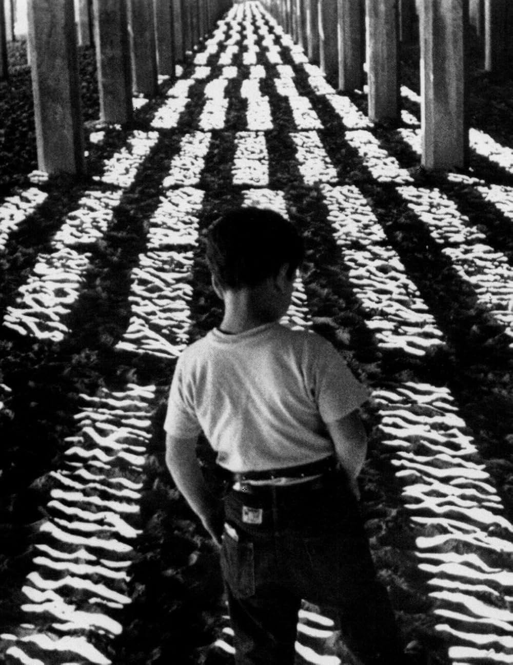 小さな逃亡者の画像