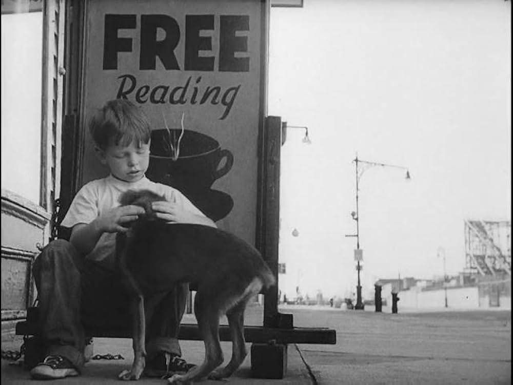 小さな逃亡者の画像