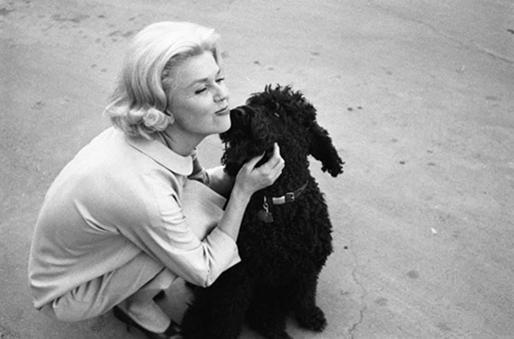 誰かが狙ってるの画像