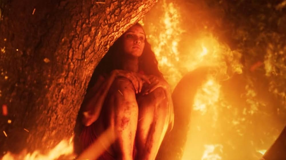 ブーブルの画像