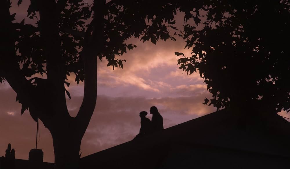 ハム・オン・ライの画像