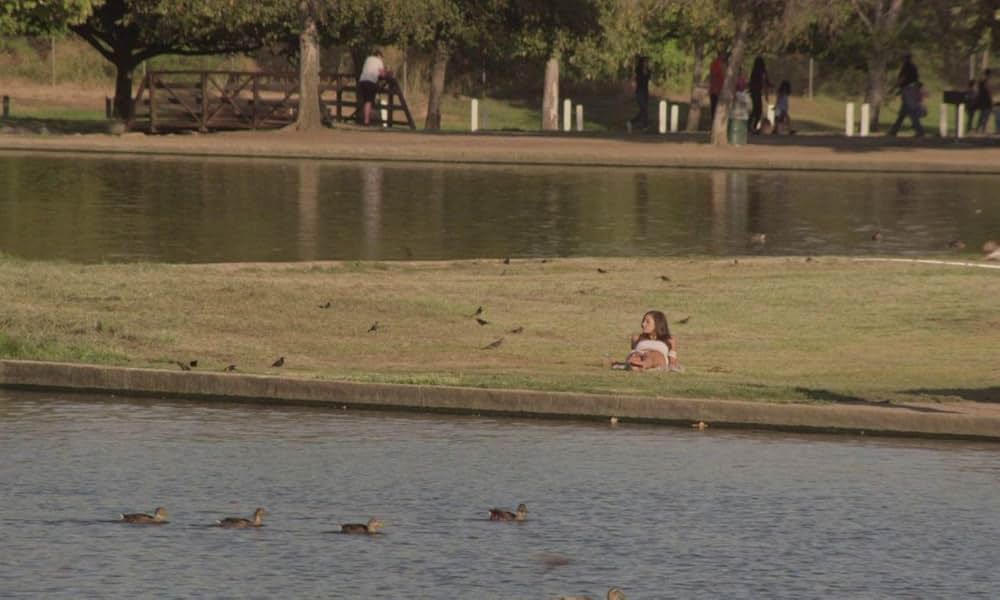 ハム・オン・ライの画像