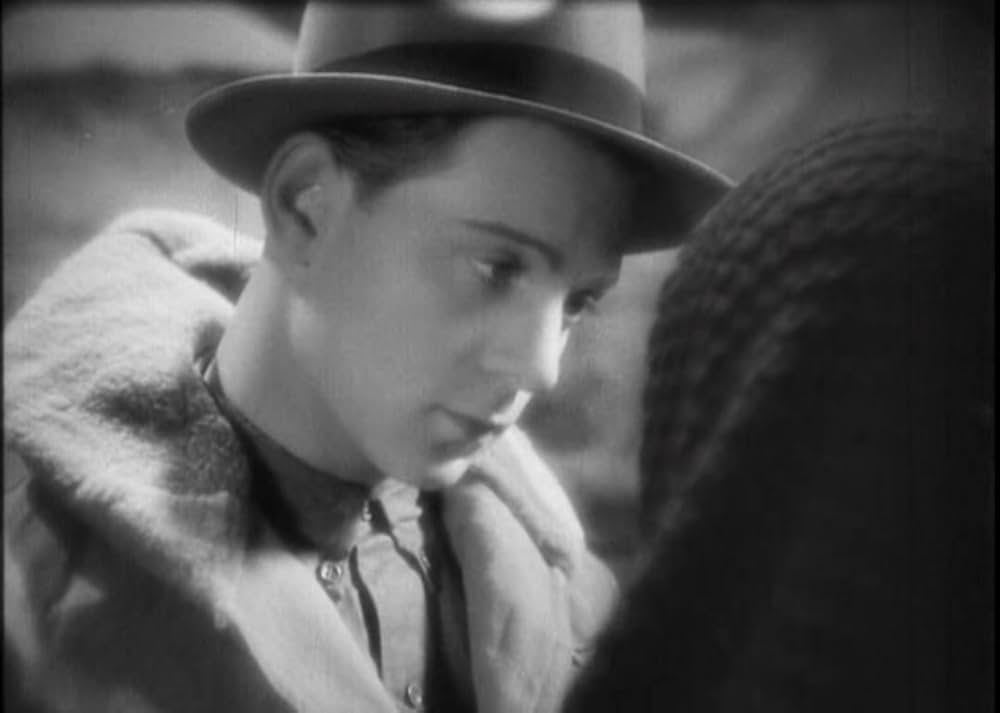 白き処女地の画像