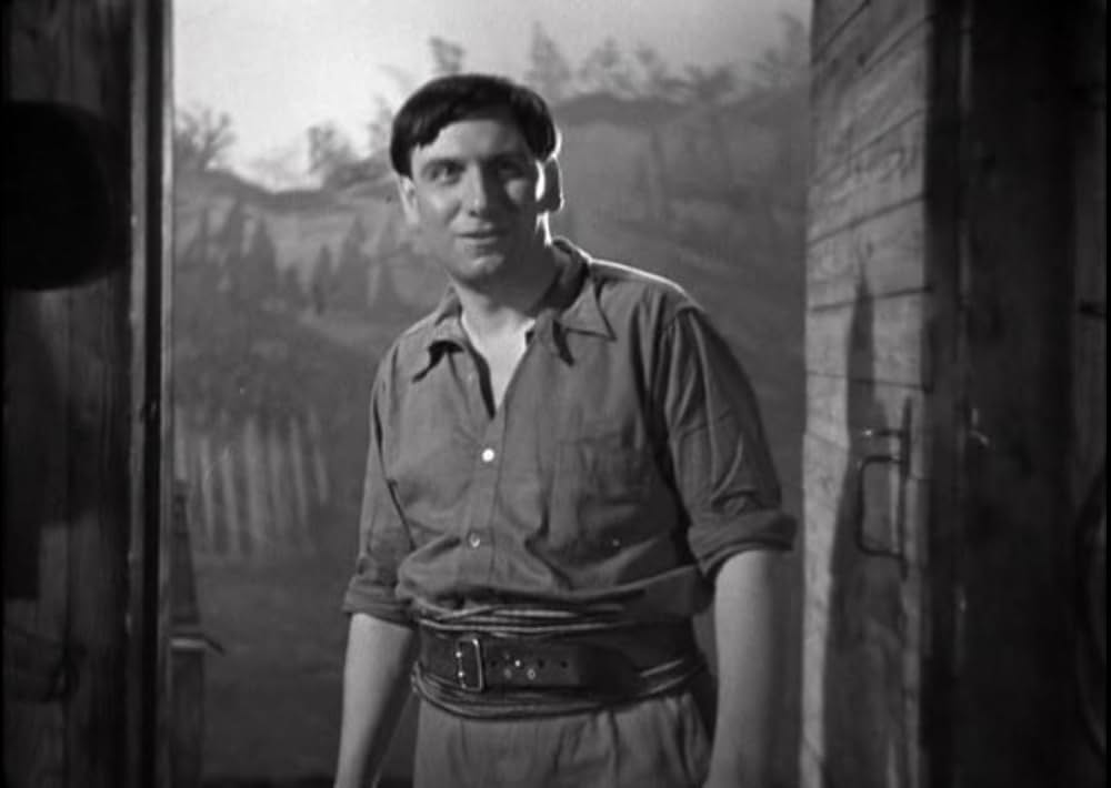 白き処女地の写真