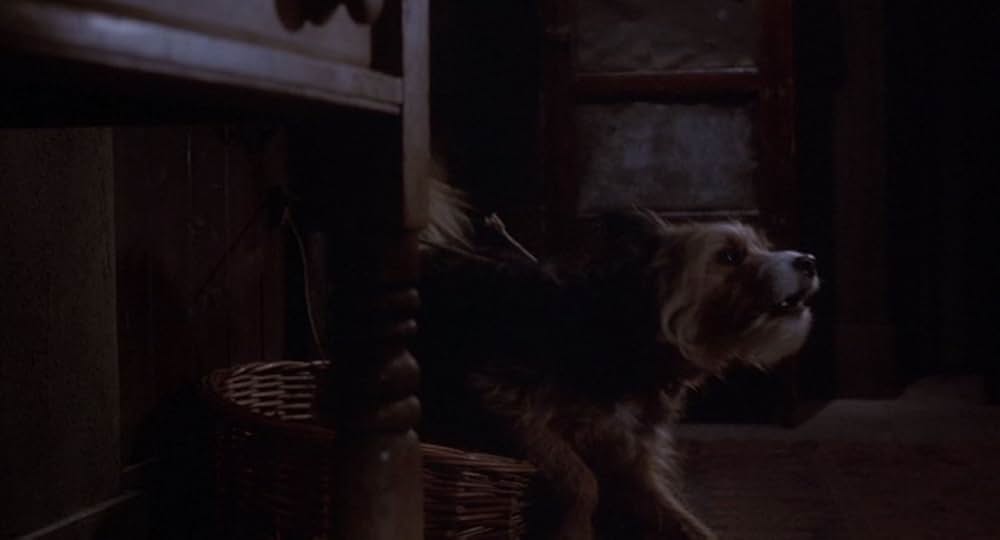 呪われたハネムーンの画像