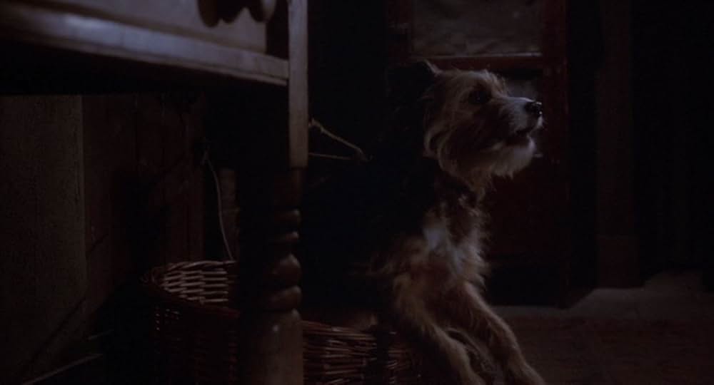 呪われたハネムーンの画像