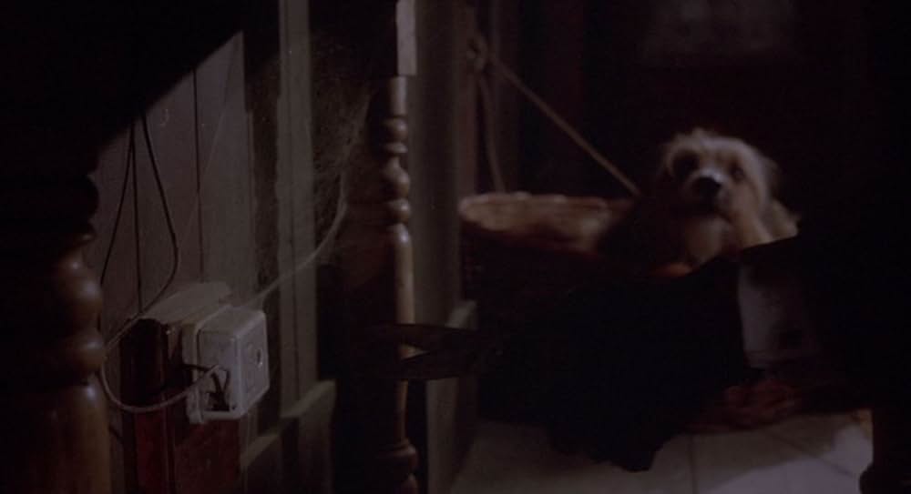 呪われたハネムーンの画像