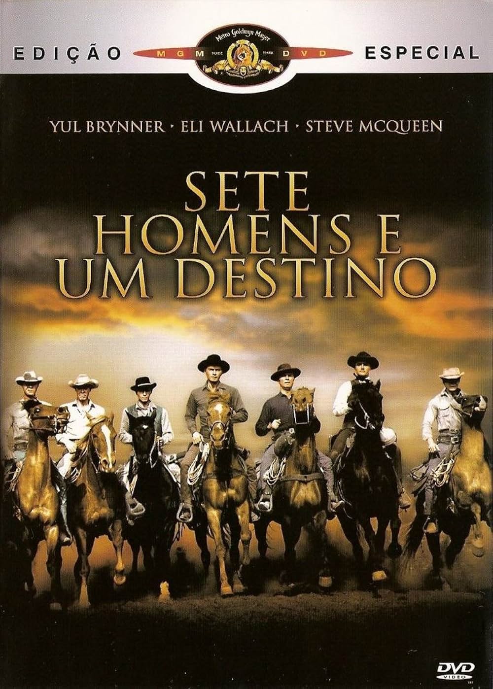 荒野の七人の画像