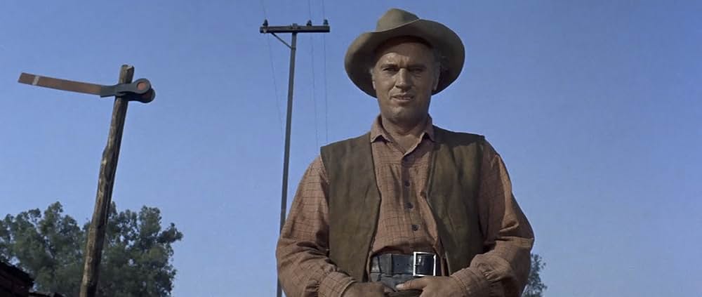 荒野の七人の画像