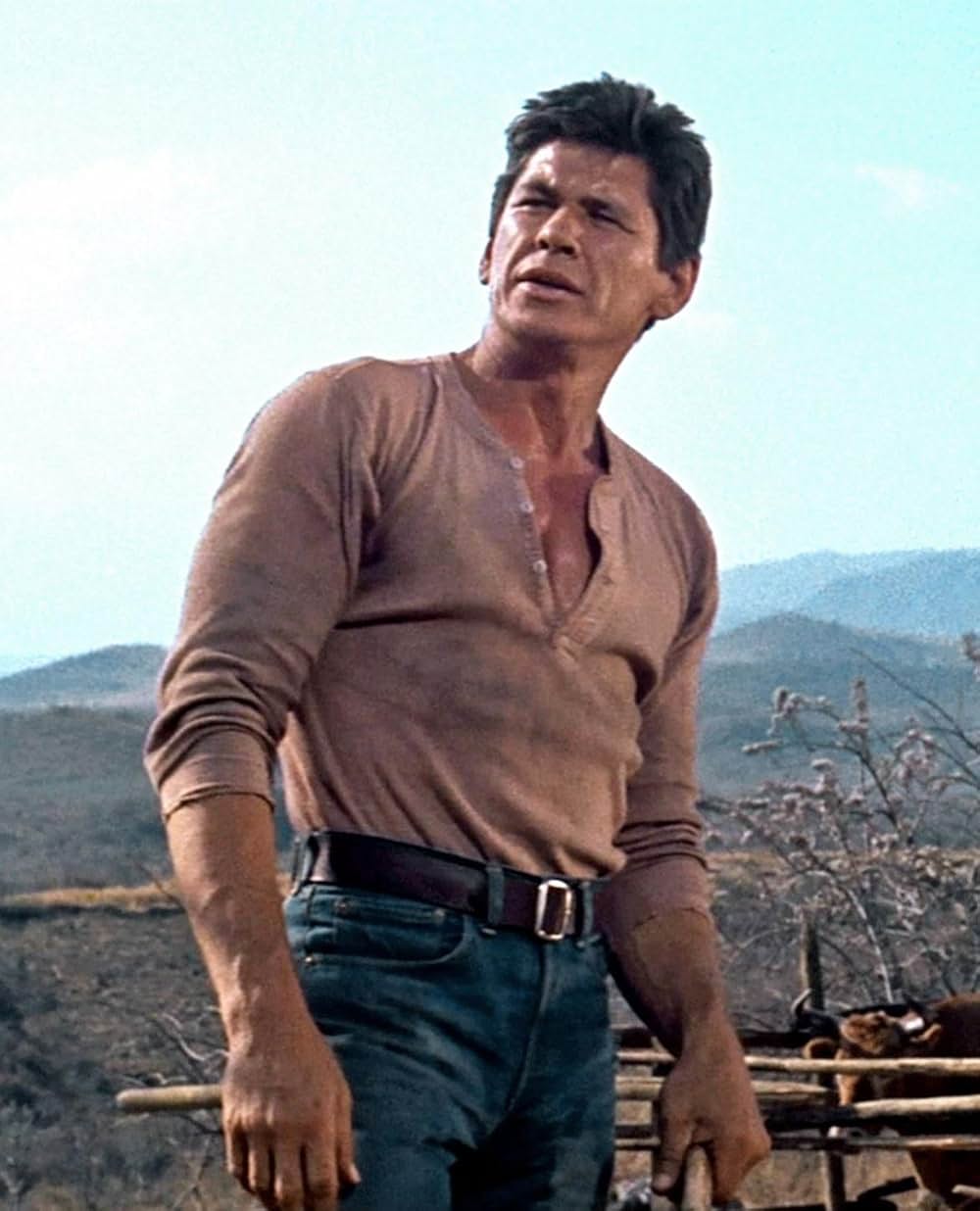 荒野の七人の画像