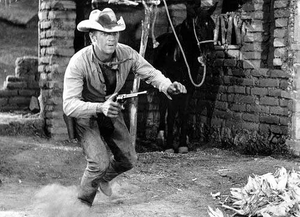 荒野の七人の画像