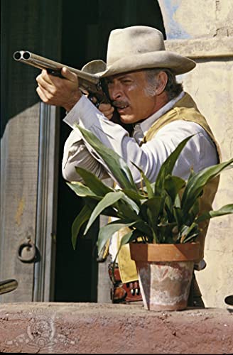 荒野の七人／真昼の決闘の画像