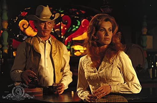 荒野の七人／真昼の決闘の画像