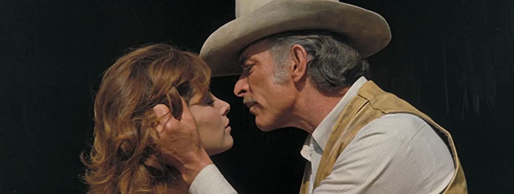 荒野の七人／真昼の決闘の画像