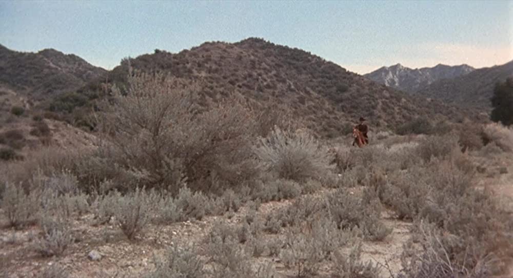 荒野の七人／真昼の決闘の画像