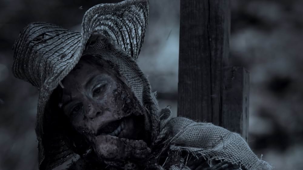 リクイッド・ウッズ 樹海の画像