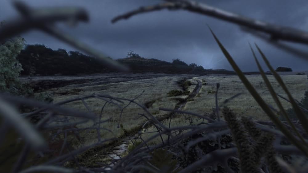 リクイッド・ウッズ 樹海の画像