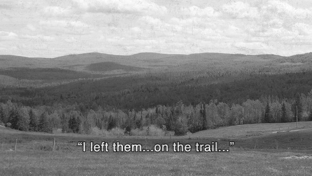 リクイッド・ウッズ 樹海の画像