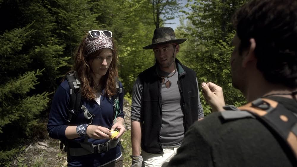 リクイッド・ウッズ 樹海の画像