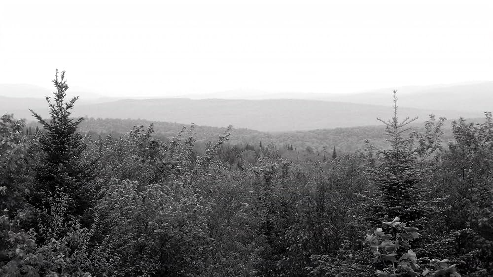 リクイッド・ウッズ 樹海の画像