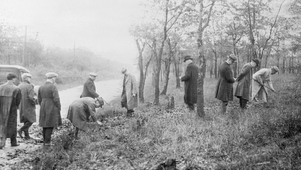 リクイッド・ウッズ 樹海の画像