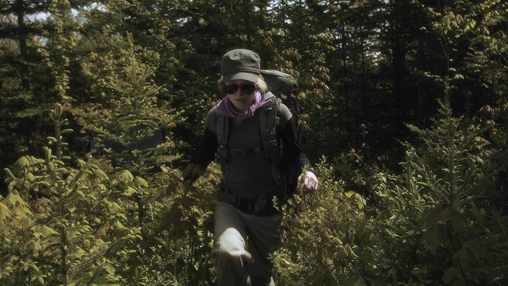 リクイッド・ウッズ 樹海の画像