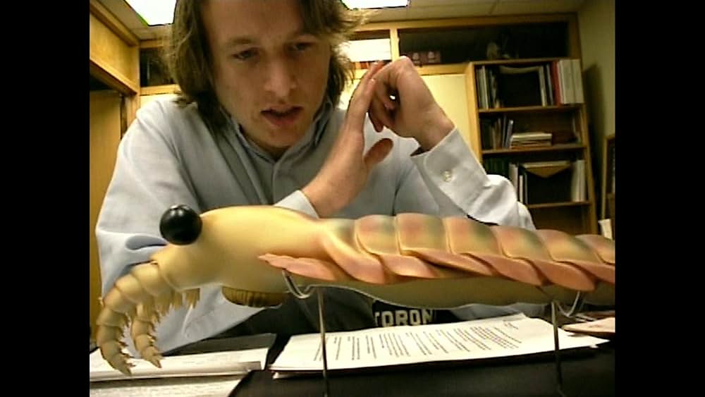 ゾンビ・オブ・ザ・デッドの画像