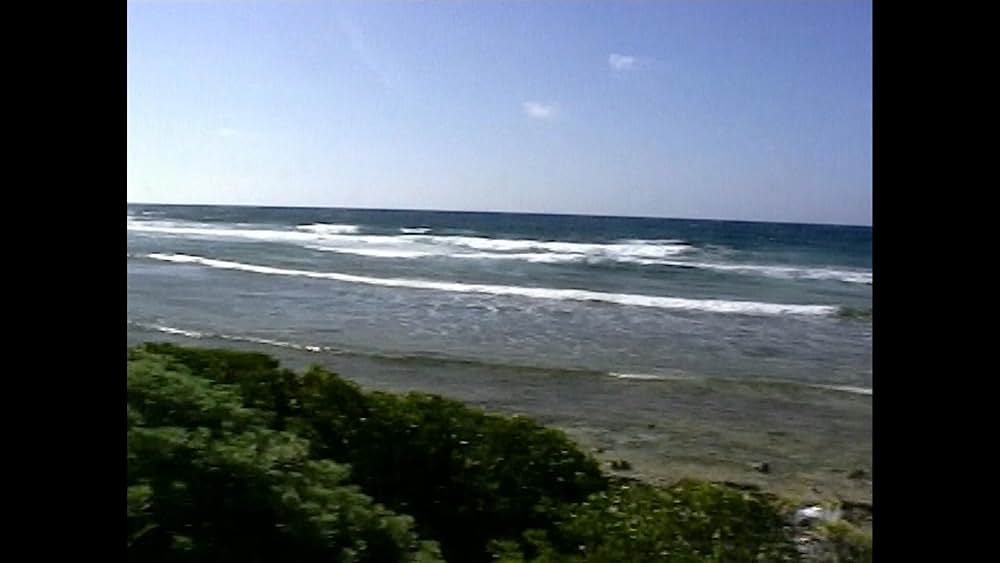 ゾンビ・オブ・ザ・デッドの画像