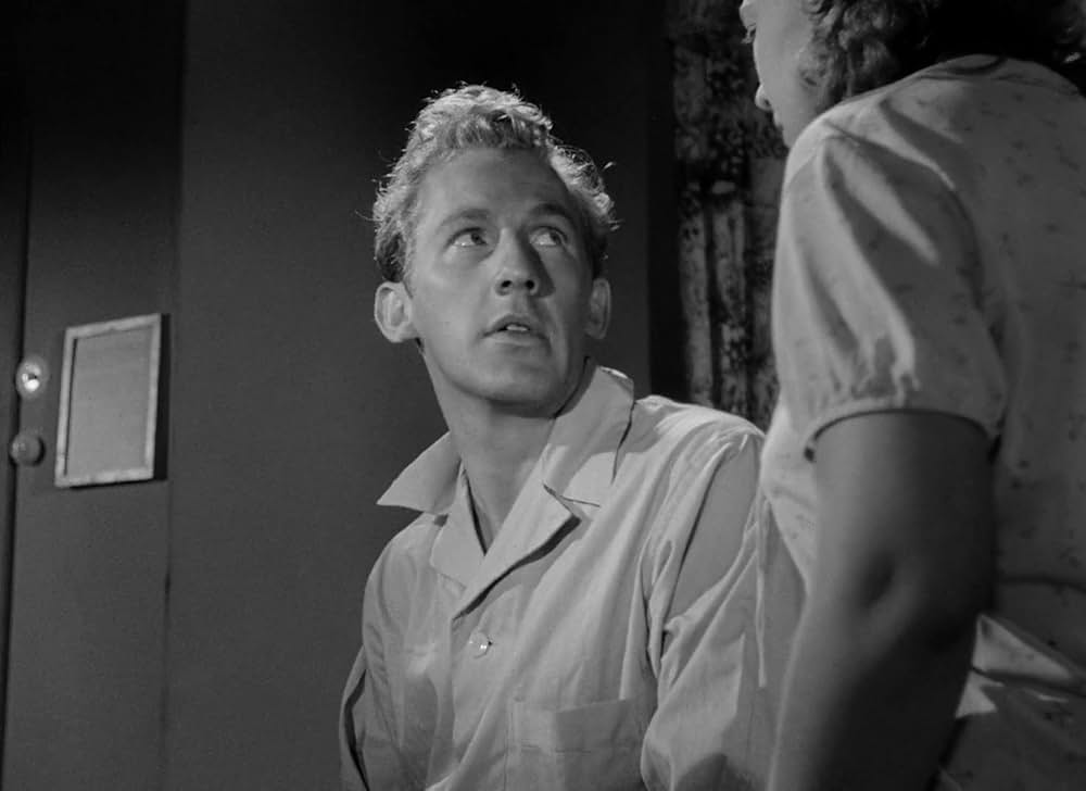 愛欲の港の画像