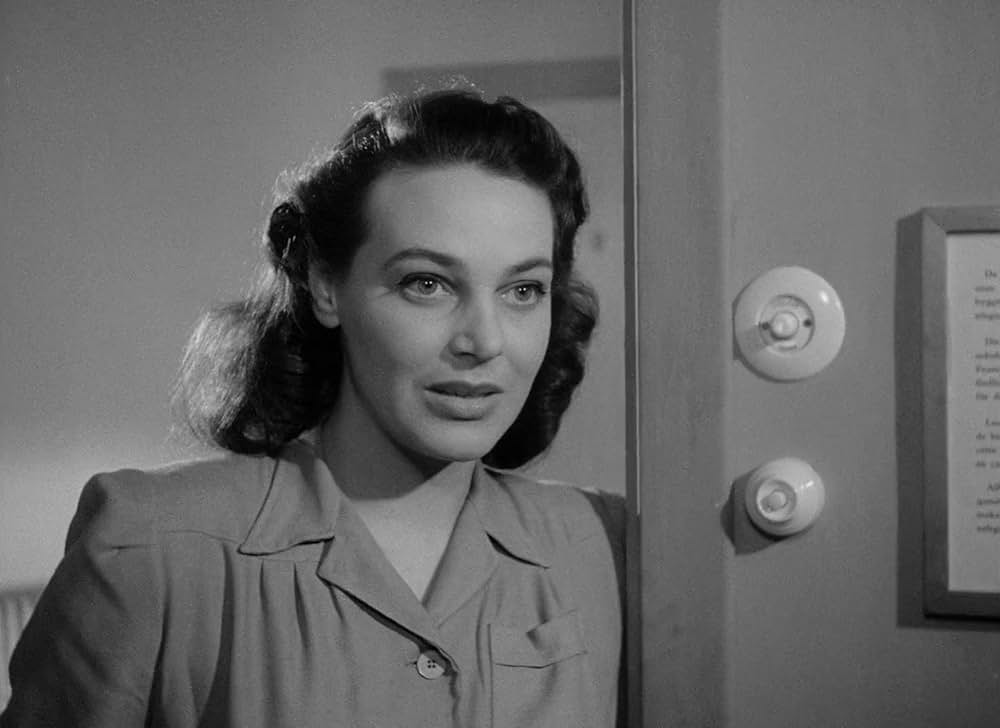 愛欲の港の画像