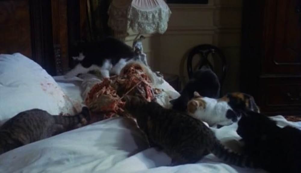 地獄のキャッツ・アイ／呪いの爪の画像