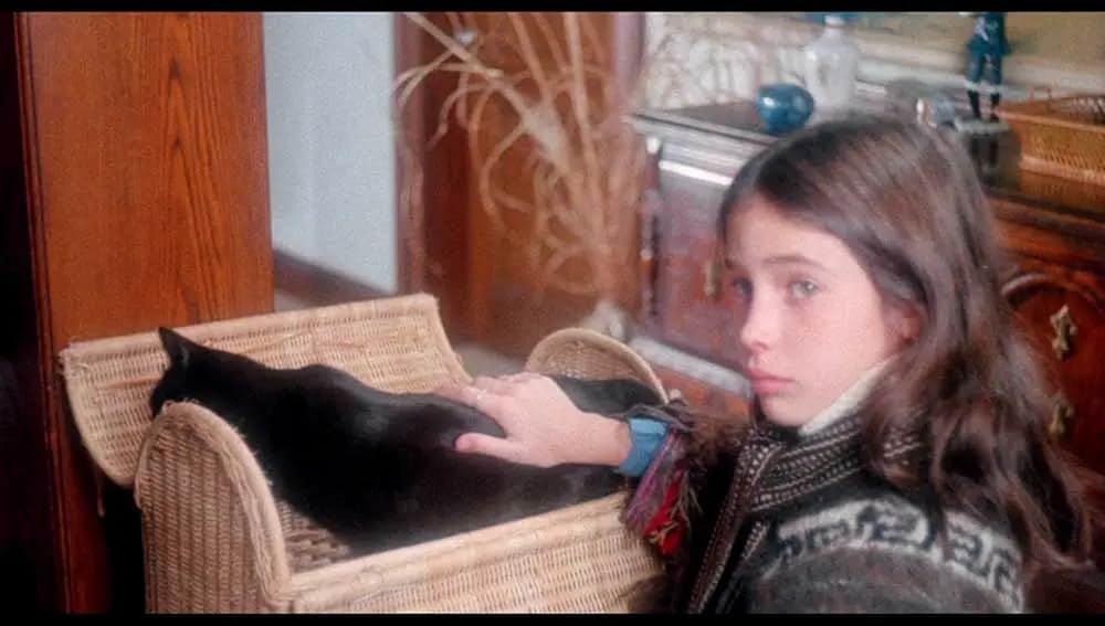 地獄のキャッツ・アイ／呪いの爪の画像