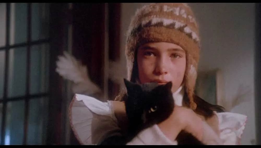 地獄のキャッツ・アイ／呪いの爪の画像