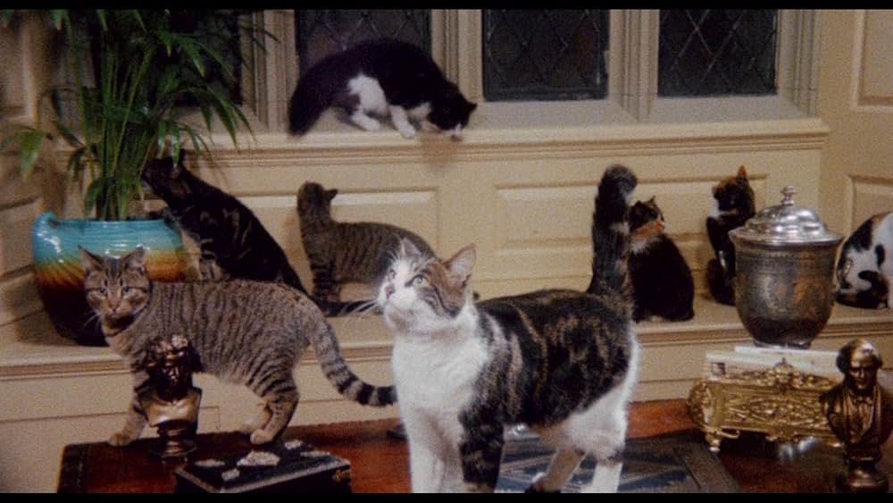 地獄のキャッツ・アイ／呪いの爪の画像