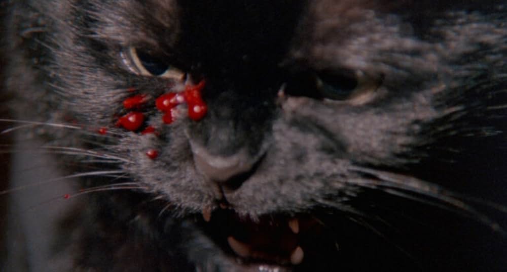 地獄のキャッツ・アイ／呪いの爪の画像