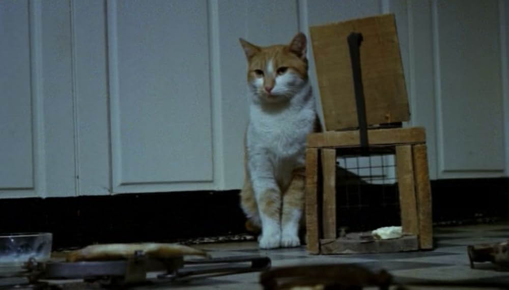 地獄のキャッツ・アイ／呪いの爪の画像